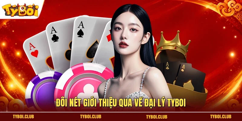 Đôi nét giới thiệu qua về đại lý TYBOI